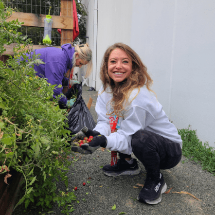 A woman kneeling in front of a tomato plant with her hands full of tomatoes.