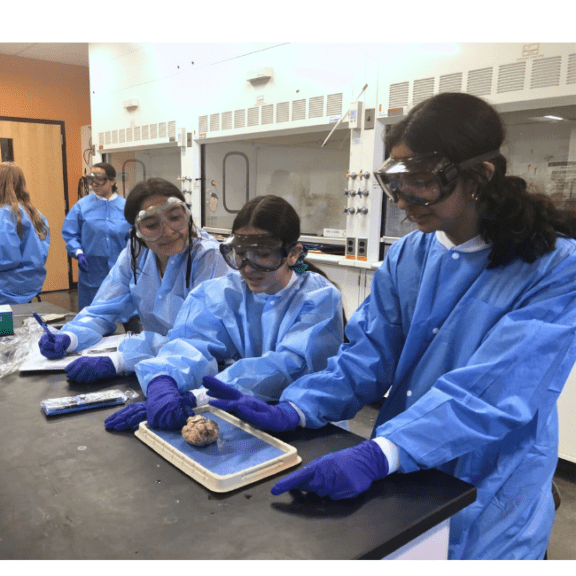 Teens dissecting a sheep's brain.